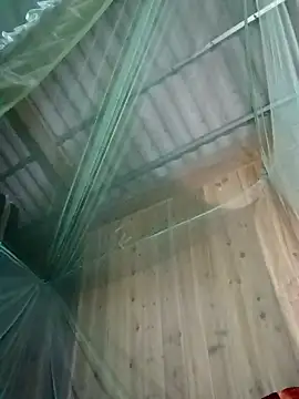 Mptrangp online show from April 2026 07:58:01 PM