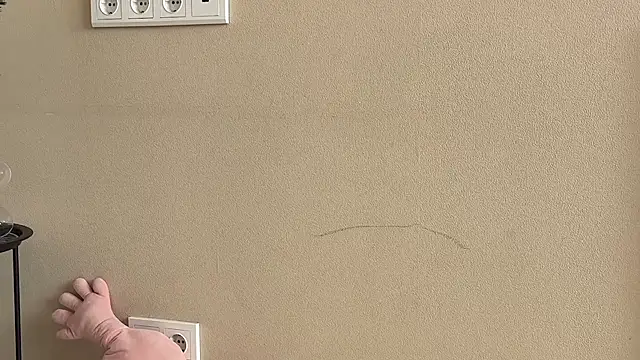 daniellia  online show from November 2025 09:09:02 AM