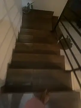 Snapshot of pretalst chatting on November 2025 07:52:02 AM pretalst online show from November 2025 07:52:02 AM