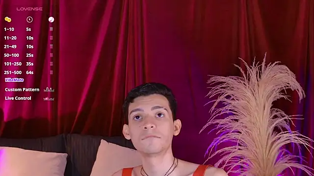 VicenteFerrer online show from June 2026 02:06:02 PM