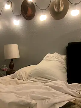 thejohnryancollection online show from November 2025 06:12:02 AM