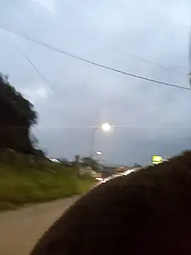 Fernandar2025 online show from February 2026 11:06:02 AM