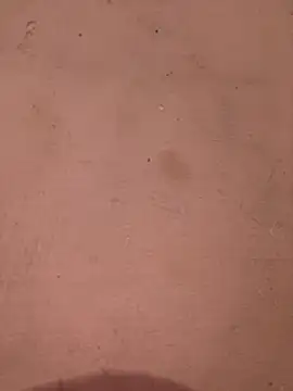 Snapshot of sakshi5533 chatting on November 2025 07:27:01 PM sakshi5533 online show from November 2025 07:27:01 PM