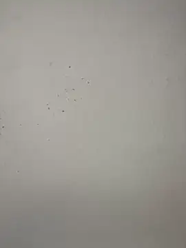 vincentjaxon online show from November 2025 07:05:02 PM