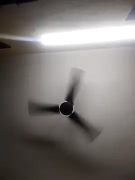 Snapshot of Devi-with-Ram chatting on October 2025 04:34:02 AM Devi-with-Ram online show from October 2025 04:34:02 AM