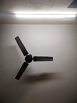 Snapshot of Devi-with-Ram chatting on December 2025 07:38:01 AM Devi-with-Ram online show from December 2025 07:38:01 AM