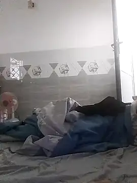 Tan32 11 online show from January 2026 08:19:02 AM