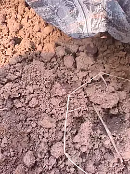 Snapshot of Hot_raaani chatting on November 2025 06:13:02 AM Hot raaani online show from November 2025 06:13:02 AM