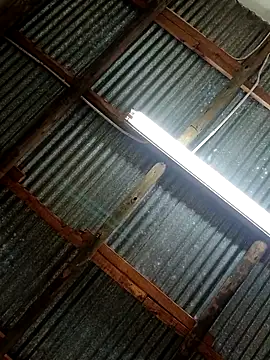 Fizozoo online show from September 2025 04:58:02 AM