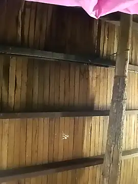 teluguvarsha online show from April 2026 08:42:01 AM