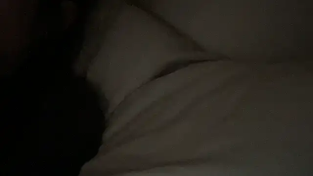 dddasani online show from January 2026 04:33:02 PM