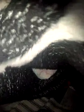 fantasma667 online show from December 2025 12:21:02 PM