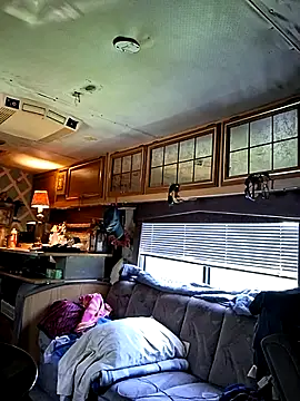 ShawnandDani7074 online show from July 2026 04:20:02 PM