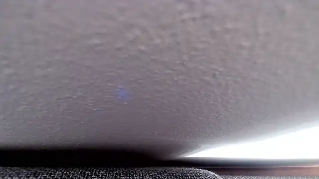 cucciolotto76 online show from November 2025 08:37:01 AM