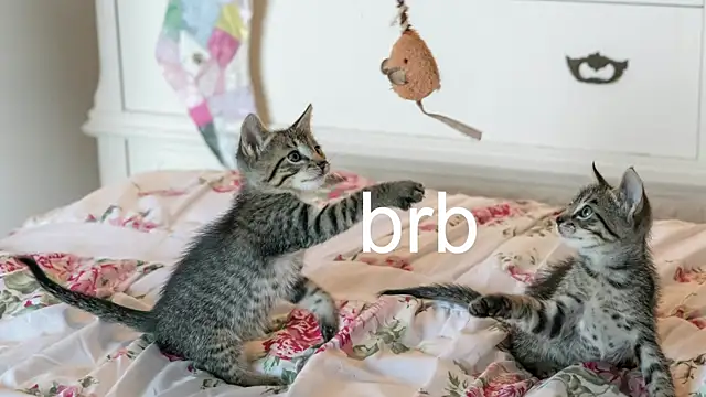 Snapshot of Pink_girl0n chatting on November 2025 03:27:02 AM Pink girl0n online show from November 2025 03:27:02 AM