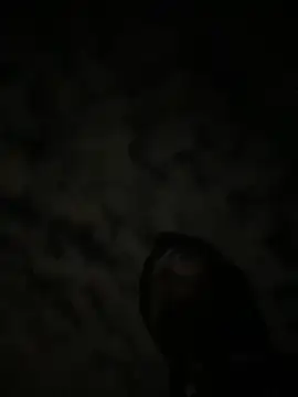 Snapshot of theone3121 chatting on October 2025 11:43:01 AM theone3121 online show from October 2025 11:43:01 AM