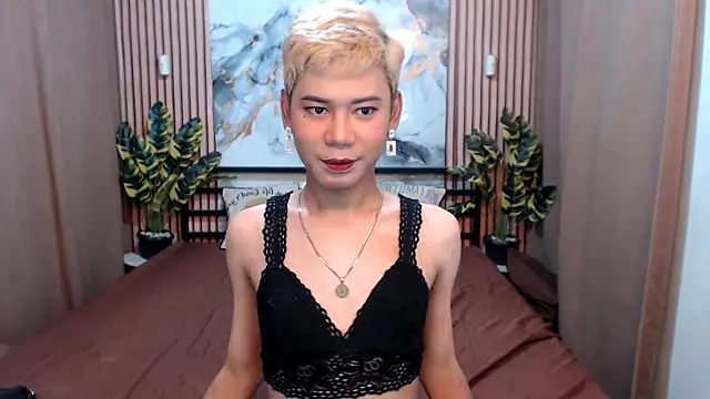 MissTransStella69 online show from August 2026 05:54:02 AM