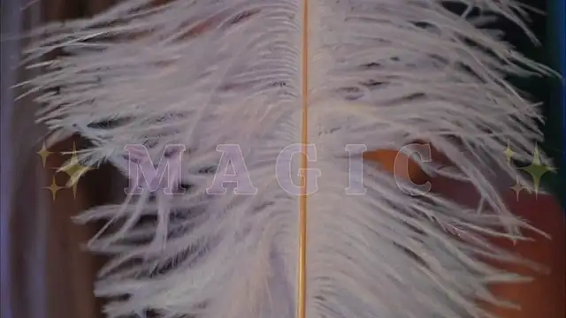 Snapshot of Alvuwkaa chatting on January 2026 09:44:02 AM Alvuwkaa online show from January 2026 09:44:02 AM