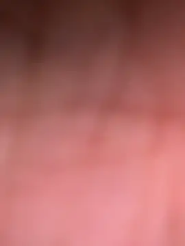 Snapshot of ninjabod chatting on October 2025 08:20:01 PM ninjabod online show from October 2025 08:20:01 PM