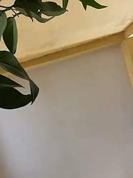 Snapshot of femboyslqueen chatting on December 2025 06:40:02 AM femboyslqueen online show from December 2025 06:40:02 AM