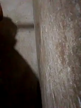 Lujor online show from March 2026 03:45:02 AM