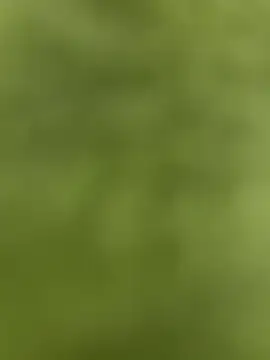 Snapshot of youyou933 chatting on September 2025 05:57:02 PM youyou933 online show from September 2025 05:57:02 PM