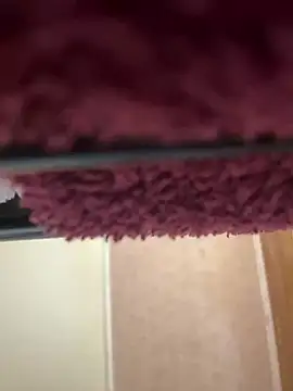 Snapshot of bb_empress chatting on September 2025 07:12:01 AM bb empress online show from September 2025 07:12:01 AM