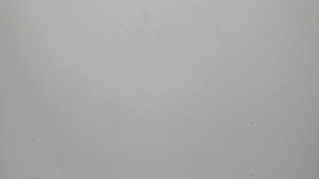 invincible200 online show from September 2025 01:55:01 PM