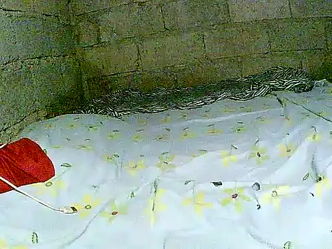 Snapshot of hotmom_pinay chatting on December 2025 02:05:02 AM hotmom pinay online show from December 2025 02:05:02 AM