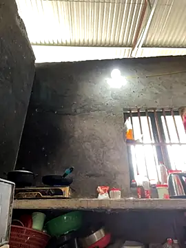 Sunny lotus online show from November 2025 04:29:02 AM