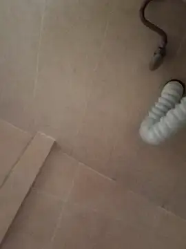 destroassbig2 online show from April 2026 05:17:01 PM