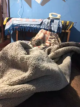 m11a2f3a4z5 online show from March 2026 12:52:02 PM