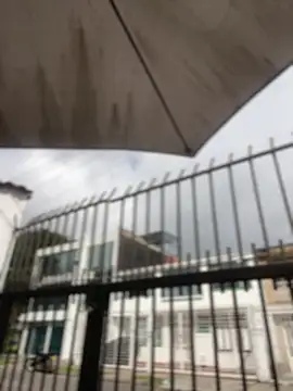 Sallem Pink online show from April 2026 01:41:01 PM