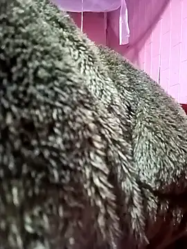 optra34 online show from February 2026 06:40:02 AM