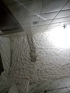 BrenoAvelar online show from December 2025 01:57:02 AM