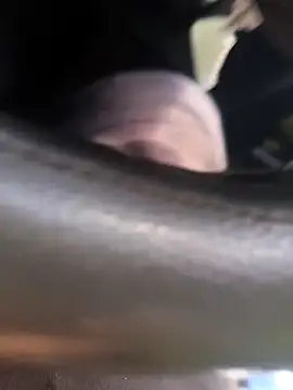 Snapshot of Frank0021 chatting on November 2025 05:34:01 PM Frank0021 online show from November 2025 05:34:01 PM