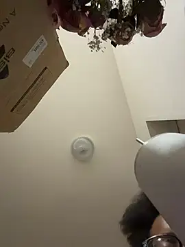 Tu GataLinda online show from November 2025 09:26:01 PM