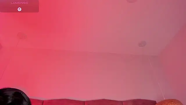 dani velvet online show from April 2026 03:07:02 AM