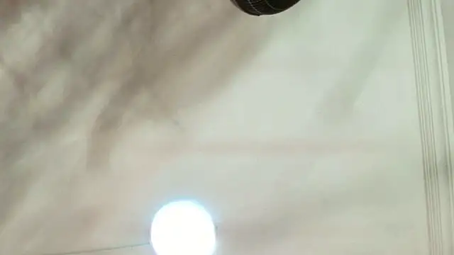 Snapshot of Dixie_grey1 chatting on September 2025 01:33:01 PM Dixie grey1 online show from September 2025 01:33:01 PM