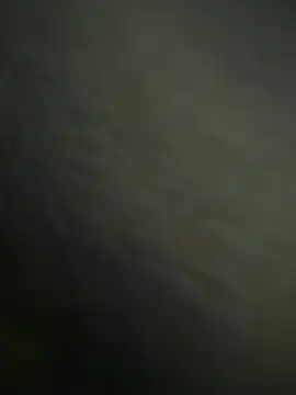 ProvenTobi777 online show from February 2026 07:05:01 AM