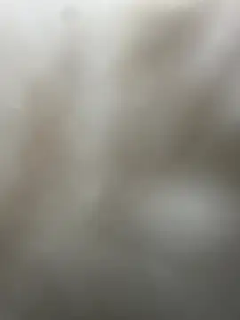 Snapshot of _01ruhi chatting on November 2025 07:28:01 PM 01ruhi online show from November 2025 07:28:01 PM