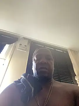 perlados online show from July 2026 04:09:02 PM