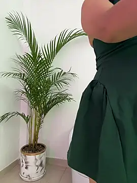 Ariana2017 online show from February 2026 03:32:02 PM