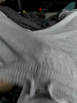 Snapshot of Frankieyyy1 chatting on November 2025 07:44:02 AM Frankieyyy1 online show from November 2025 07:44:02 AM