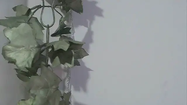 Snapshot of angelainparis28 chatting on November 2025 08:25:02 PM angelainparis28 online show from November 2025 08:25:02 PM