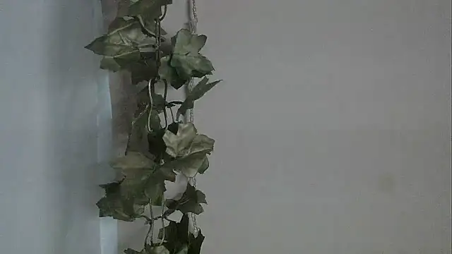 Snapshot of angelainparis28 chatting on December 2025 05:02:02 AM angelainparis28 online show from December 2025 05:02:02 AM