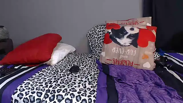 chockclitx5 online show from October 2025 06:49:02 PM