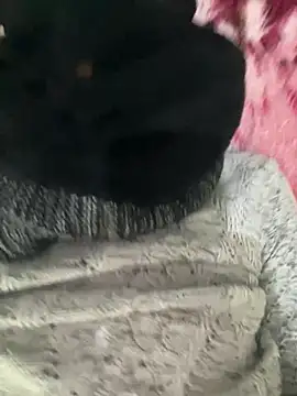 Snapshot of Yasar-Xxxl chatting on February 2026 01:44:02 AM Yasar-Xxxl online show from February 2026 01:44:02 AM