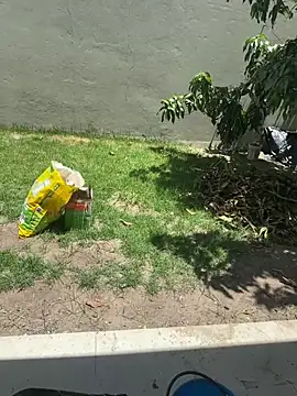 XUCRUTES42 online show from February 2026 03:27:01 PM