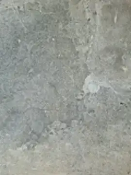 ngocngoc cute online show from February 2026 02:20:02 AM